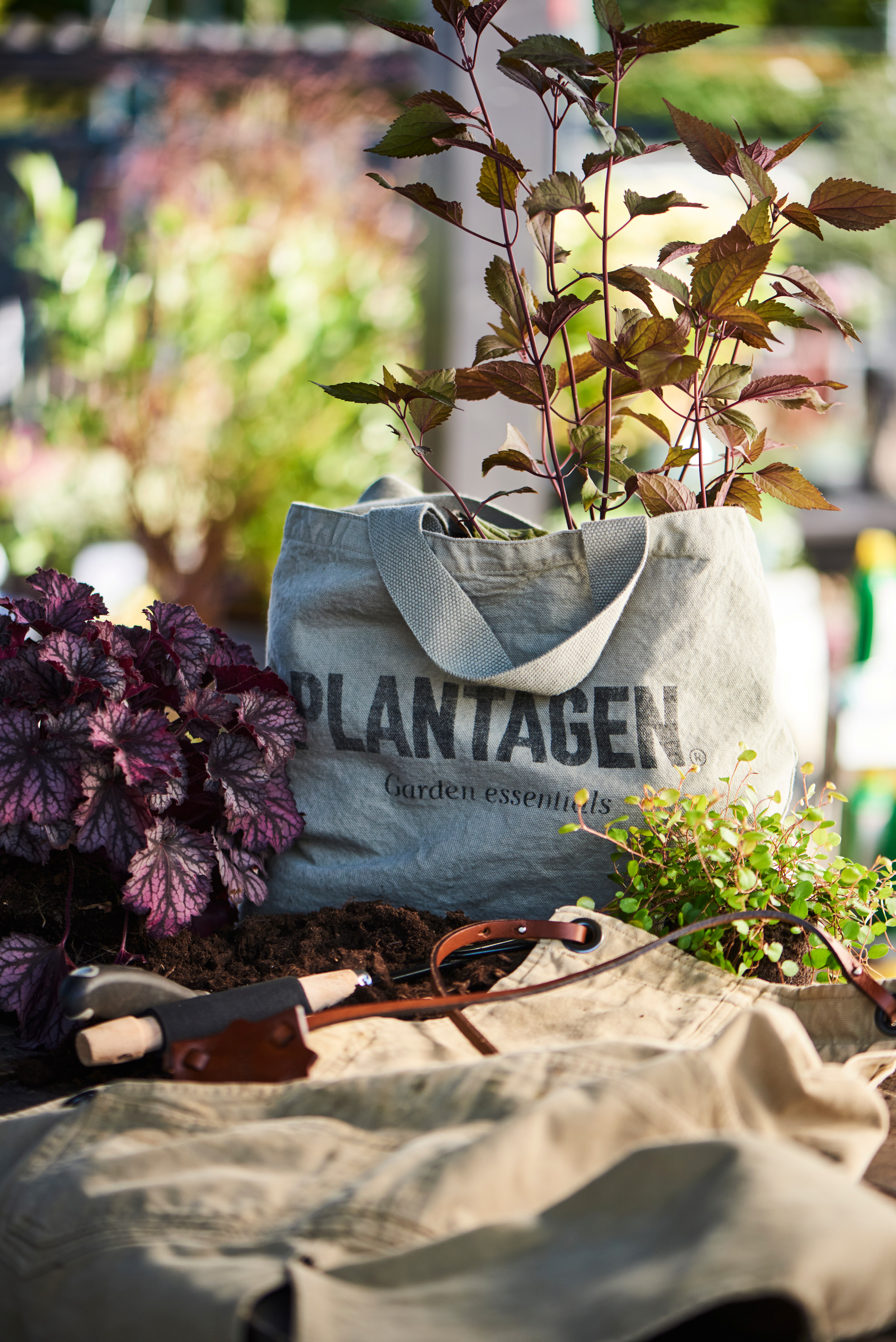 Plantagen öppnar Stor Pop-up I Sickla - Atrium Ljungberg